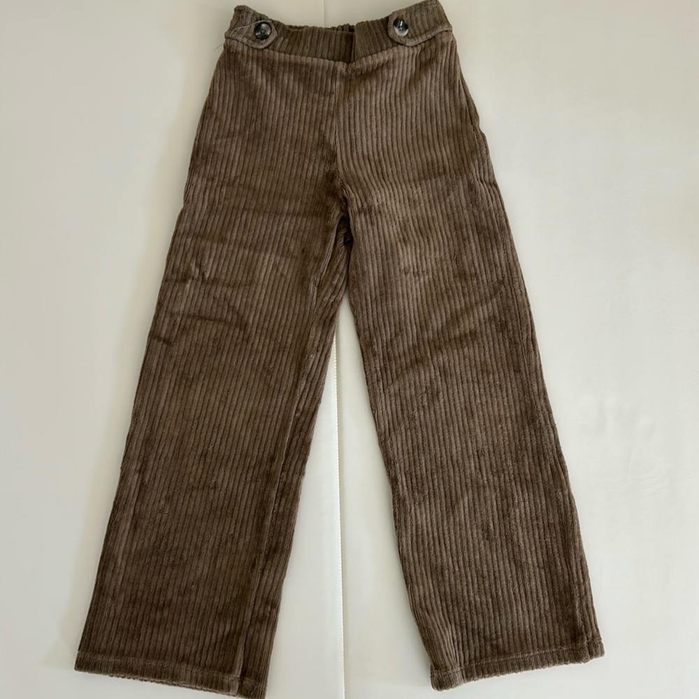 Zara Wide Leg Pants